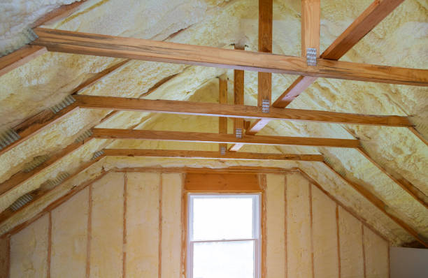Best Residential Insulation in University Park, TX